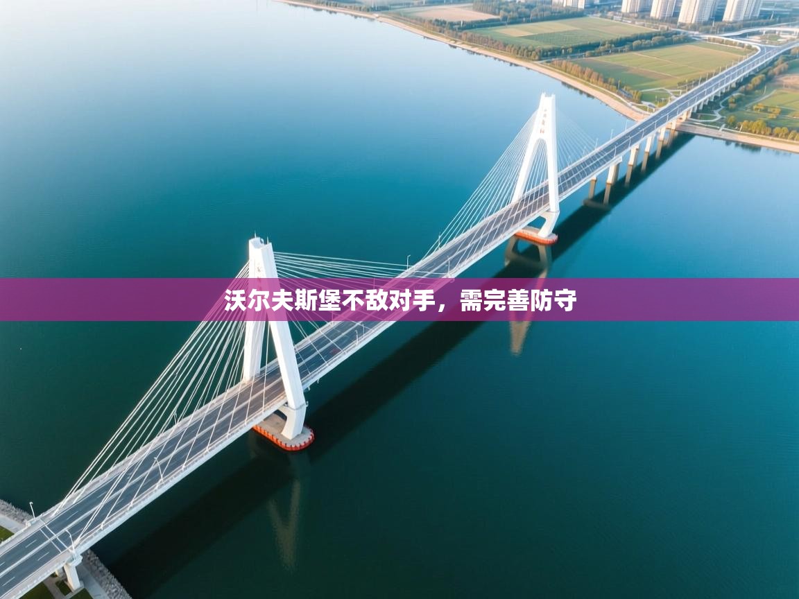 沃尔夫斯堡不敌对手，需完善防守  第1张