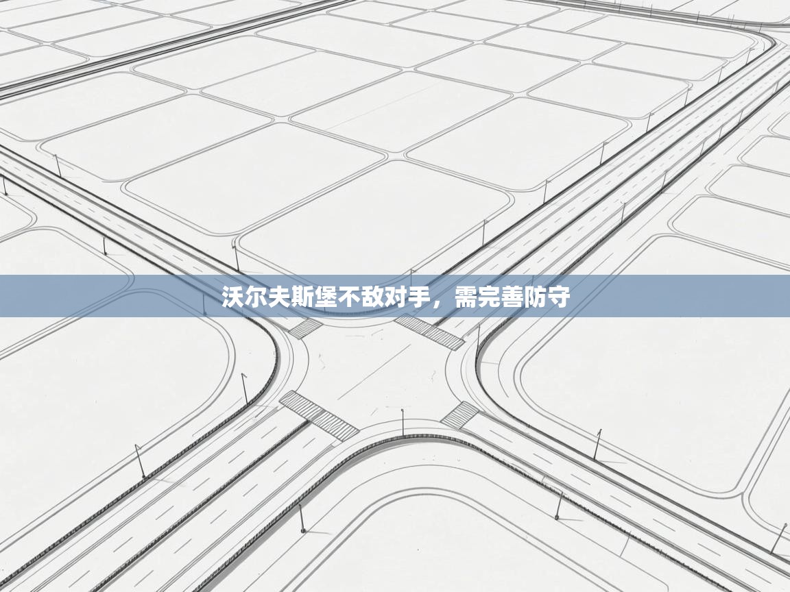 沃尔夫斯堡不敌对手，需完善防守  第2张