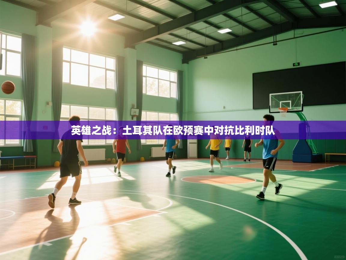 英雄之战：土耳其队在欧预赛中对抗比利时队  第1张